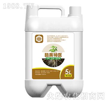 ���S���t(y��)�������������ã�-��ֲ(li��n)��