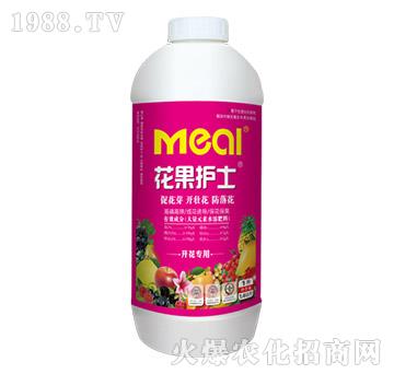 �_�����÷�-�����oʿ-������