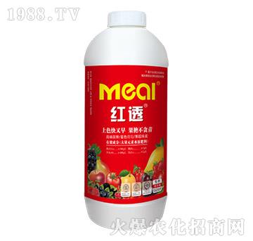 �t͸-������