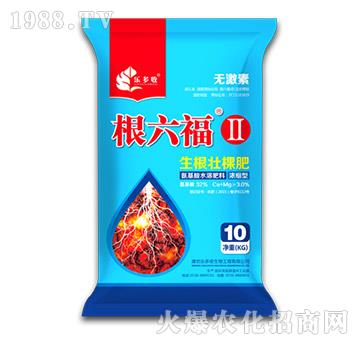 �����ѿ÷�-��������-������