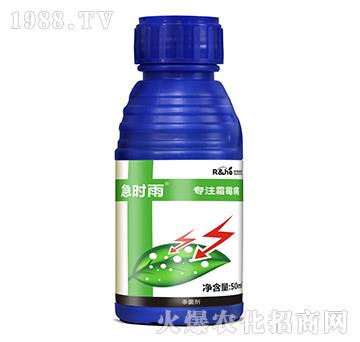 ˪ù�����Ú�����-���r(sh��)��-�к�����