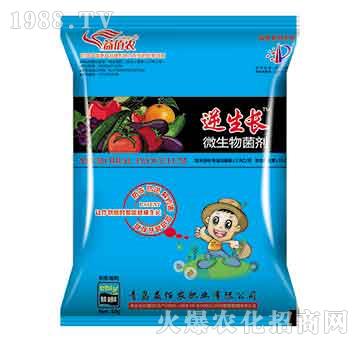 ΢�������-�����L(zh��ng)-����r(n��ng)