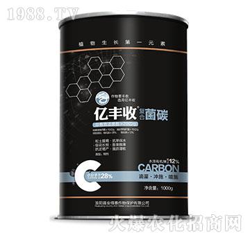 �ͺϾ�̼-�|�S��-����̩