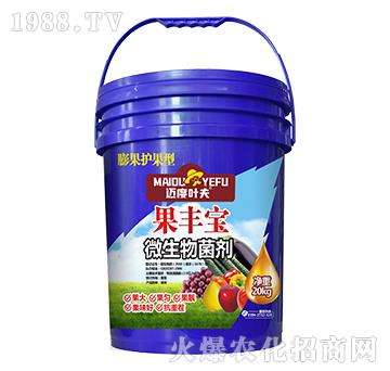 Ͱ�b����o����΢�������-���S��-�~���~��