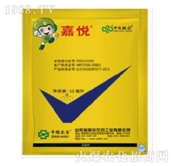 300��ÿ�����ѡ����h(hu��n)��-�ΐ�-���r(n��ng)(li��n)��