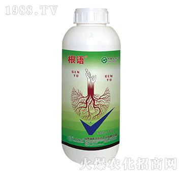 5%�����-���Z-���r��