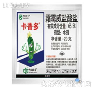 66.5%˪ù���}���}-���ն�-���r(n��ng)(li��n)��