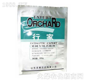 ����(sh��)��(zhu��n)�Ú�����-�м�-ʥ�i