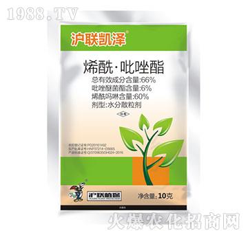 66%ϩ����������-��(li��n)�P��-��(li��n)