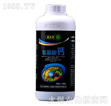 �������}-Ӣ����