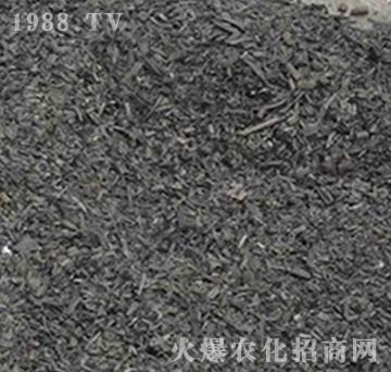 �ն�̿-��(r��n)�f(w��n)���r(n��ng)�I(y��)