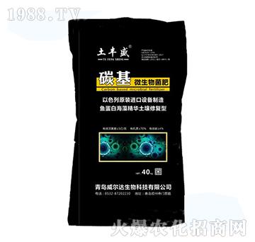 ̼��΢�������-���Sʢ-�����_(d��)