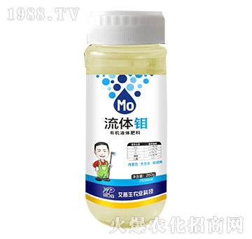 260g���w�f-������