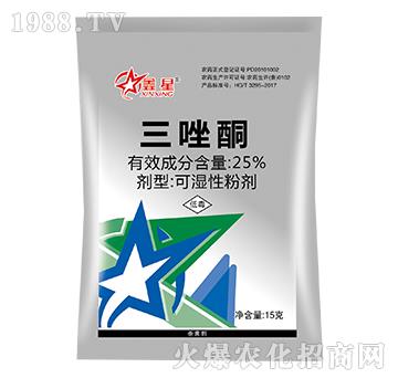 25%����ͪ-����