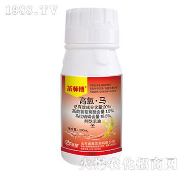 20%���ȡ��R-�莟��-����