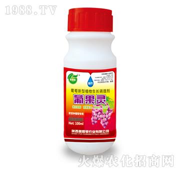 ��������ֲ�����L(zh��ng)�{(di��o)�턩-�Ϲ��`-��˼�D�r(n��ng)�I(y��)