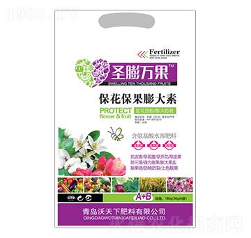 �������������-ʥ���f(w��n)��-������