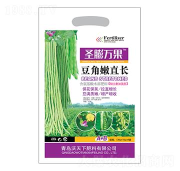 豆角嫩直長-圣膨萬果-沃天下