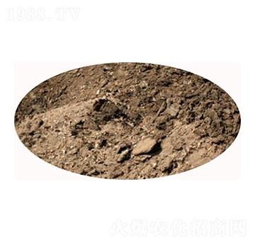 ���u�S�S(ch��ng)��-���S����