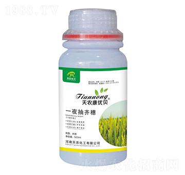 һҹ���R��-���r����(y��u)ؐ-���r����