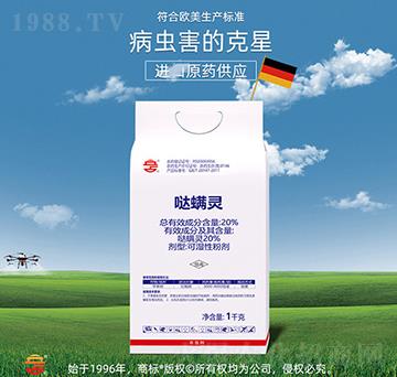 20%�}���`-��ռ�r�Y