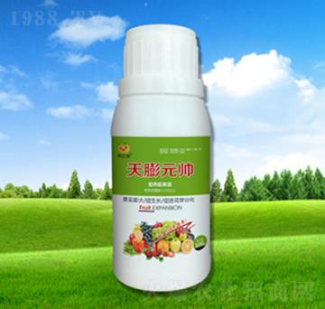 ����Ԫ��-���_���ʘI(y��)