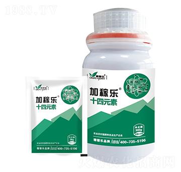 ʮ��Ԫ��-�Ӽژ�-�ڼژ�