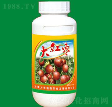 ��t��-�����