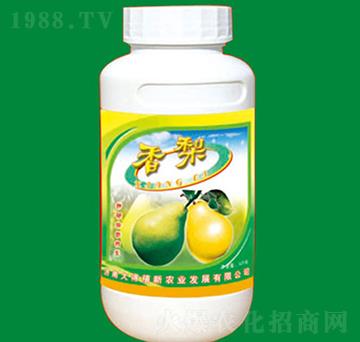 ���挣������\�F�}��-�����