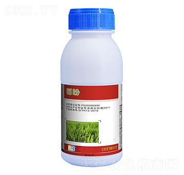 12%�R��������������-����-ӯ�x