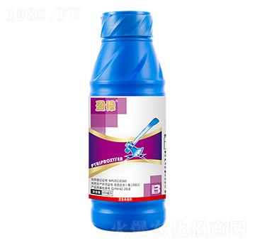 ������΢�鄩��500ml��-ӯ��-ӯ�x