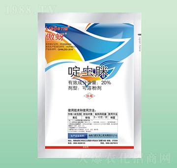 �������x��-��������