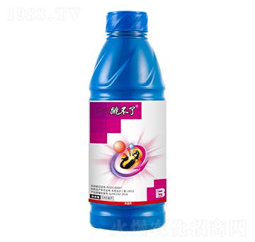 20%��x(ch��ng)���}���`��1000ml��-������-ӯ�x