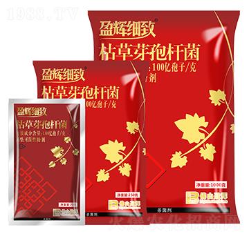 100�|����ÿ�˿ݲ�ѿ�ߗU��-ӯ�x����-ӯ�x