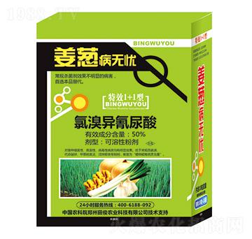 50%���宐������-�[�����o�n-�￡�ʘI(y��)