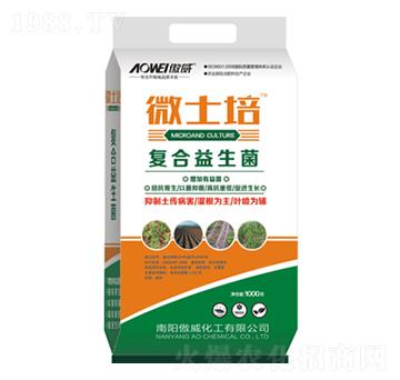 1000��΢ʿ�ࣨ��(f��)���������ͣ�-����