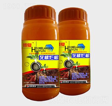 ���������~���-�ޏ�(f��)-��퍷ʘI(y��)