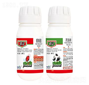 240��ÿ��������+40%������-���`-����������