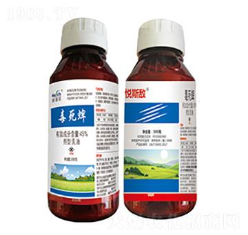 45%������-��˹��-����������