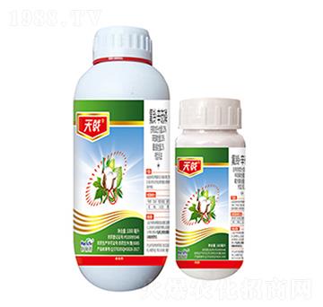 20%��⏡�������-���-����������