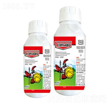 10%��x(ch��ng)��-������߯��-����������