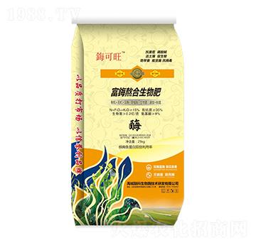 ���Y���������-�Y����-�ڿ�