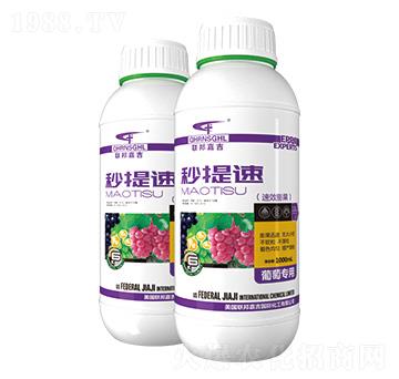 ���ь�(zhu��n)����Ч�����-������-(li��n)��μ�