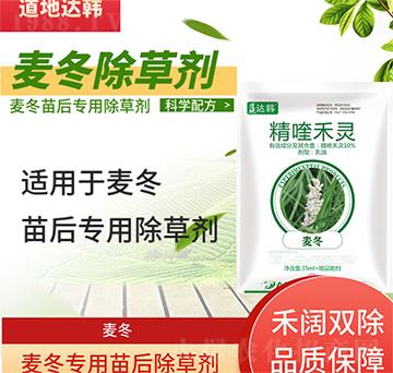 �������݄�-�������-������(zhu��n)��-���n