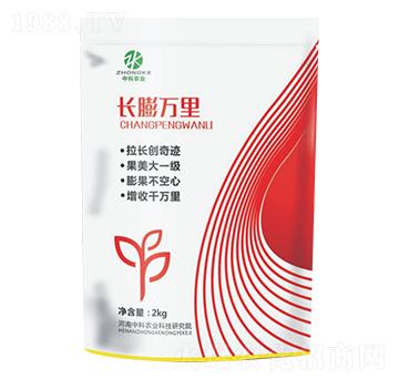 �L���f�����-�п��r�I(y��)