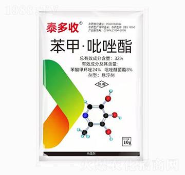 ���ס�������-̩����-��̩