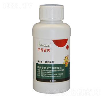 20%�����-��������-��������