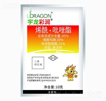 10gϩ����������-�����ʝ�-��������