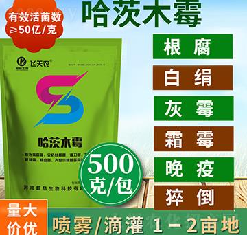 ����ľù-��Ʒ����