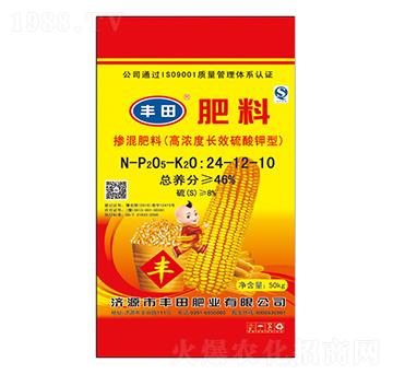 �ߝ�ȼ��\�LЧ������͓������24-12-10-�S��ʘI(y��)